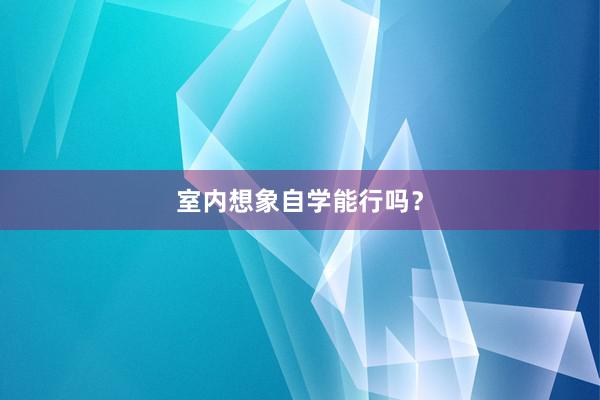 室内想象自学能行吗？