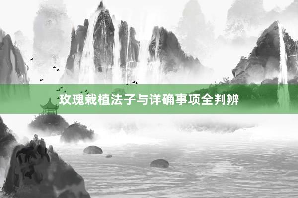 玫瑰栽植法子与详确事项全判辨