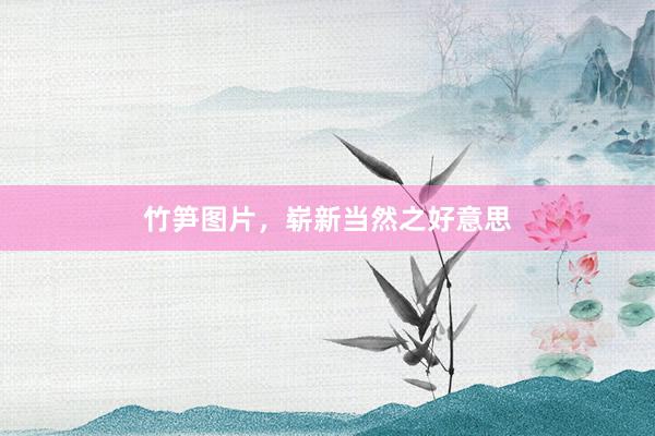 竹笋图片，崭新当然之好意思